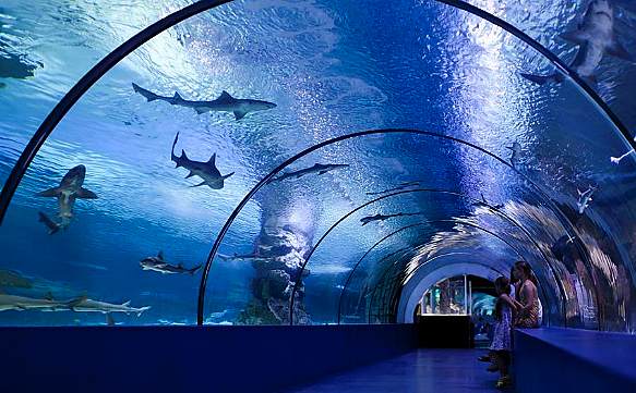 Aquarium in Antalya